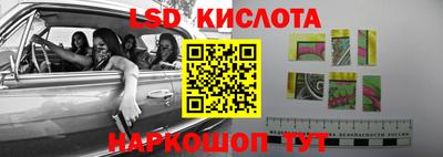 шишки Пенза