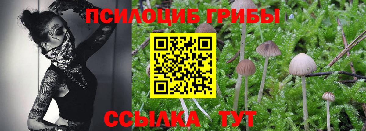 Псилоцибиновые грибы Cubensis  Псилоцибиновые грибы MAGIC MUSHROOMS  Сухой Лог  даркнет сайт  Вход с VPN 