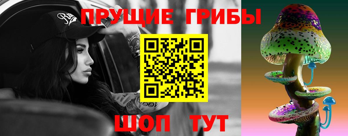 Галлюциногенные грибы Cubensis Сухой Лог